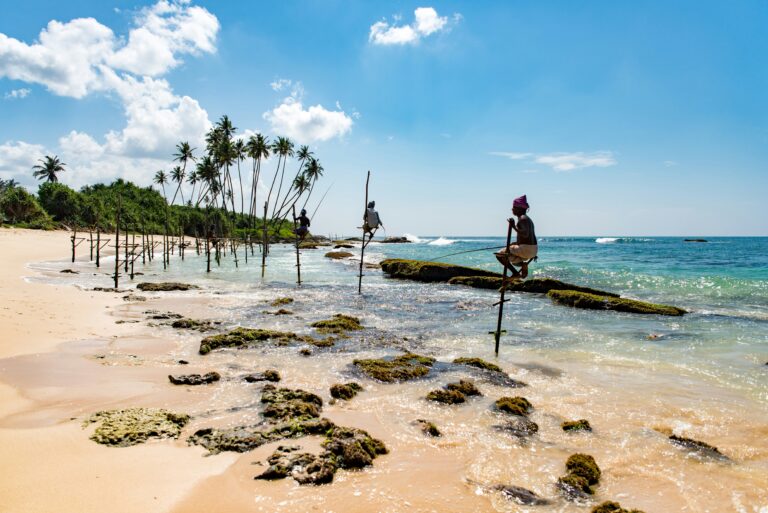 Sri Lanka Voted Most Desirable Island in the World — Wanderlust Awards 2024